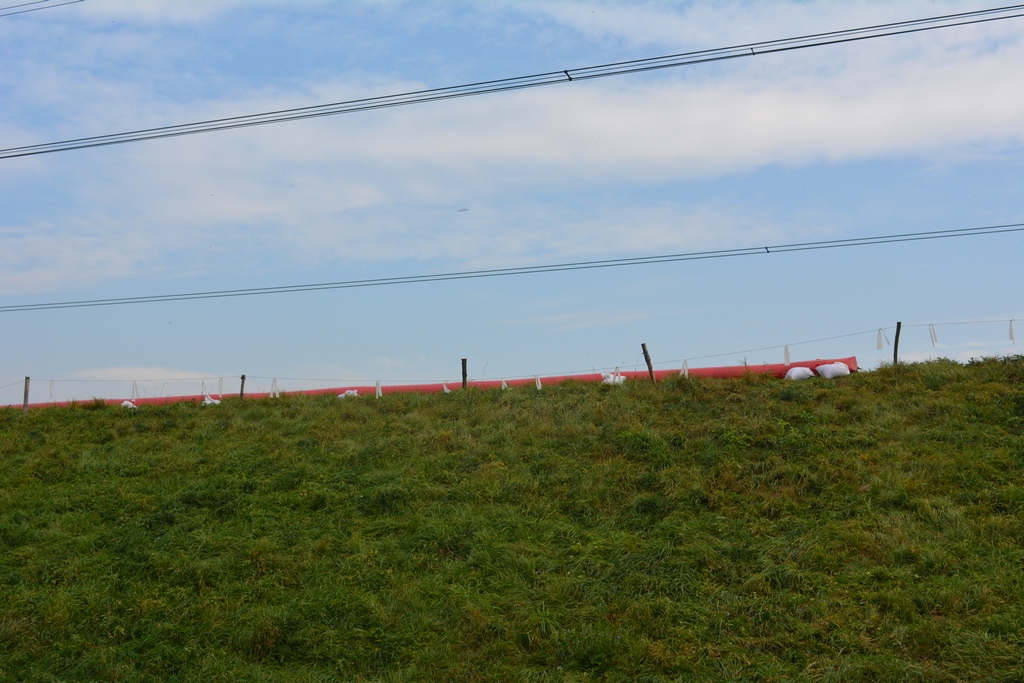 DSC 0076 1024