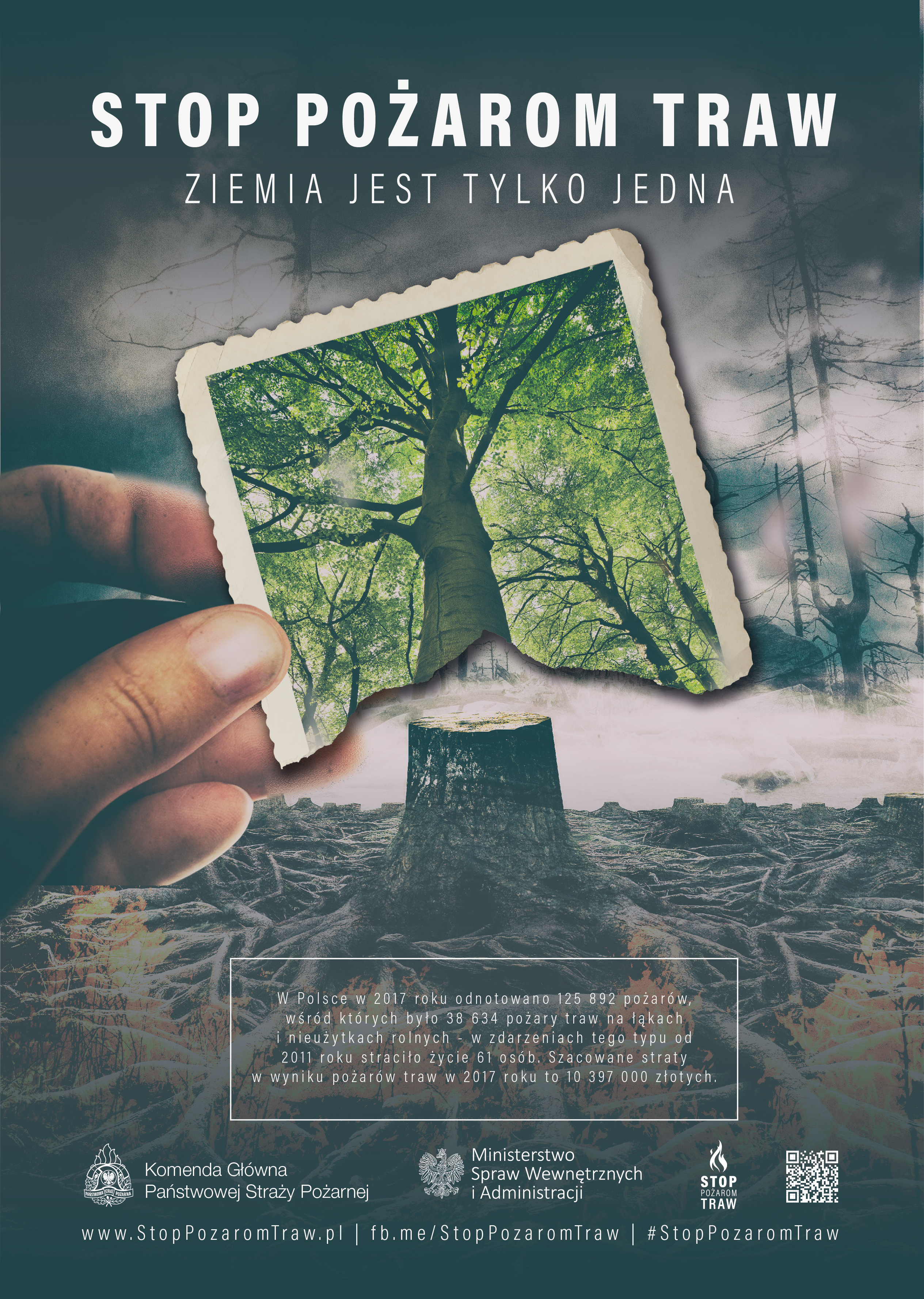 spt Plakat DRZEWO